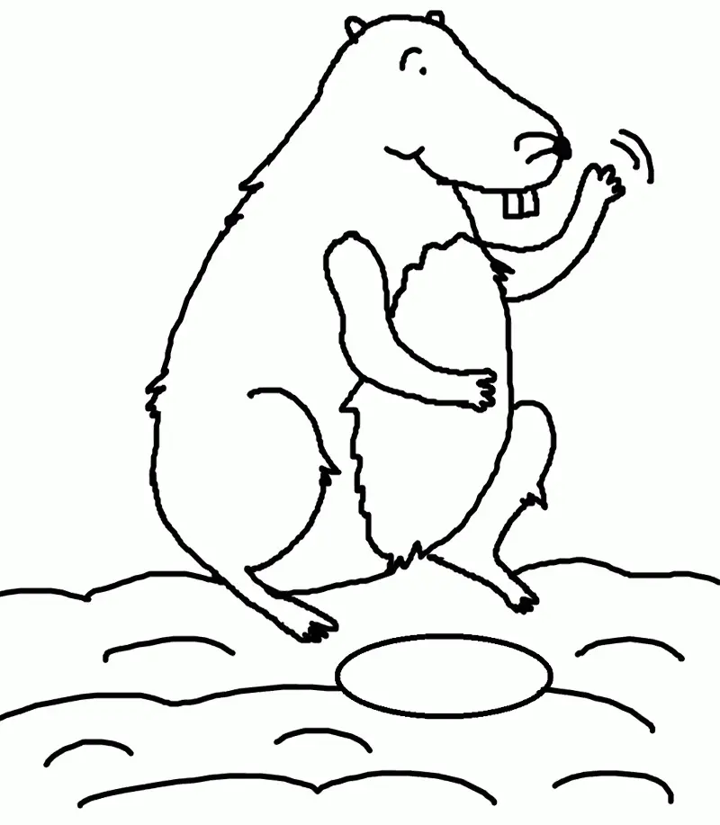 Groundhog Coloring Pages 33