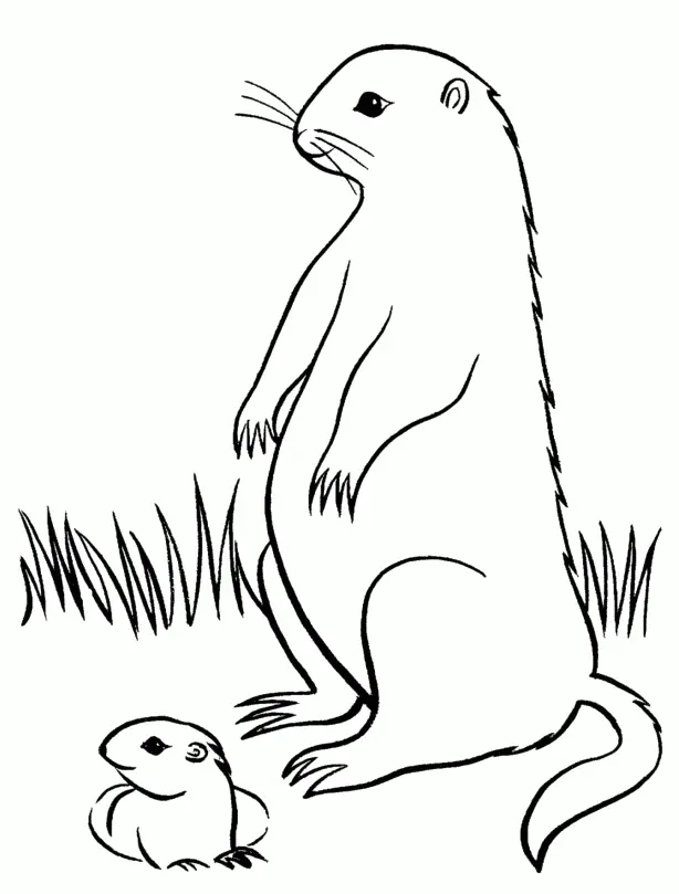 Groundhog Coloring Pages 38