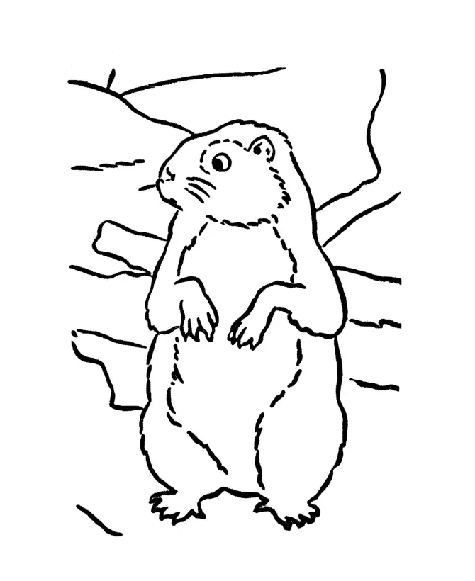Groundhog Coloring Pages 5