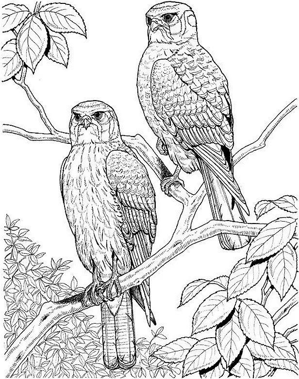 Hard Coloring Pages 85