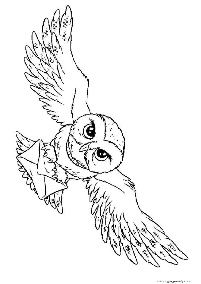 Desenhos de Harry Potter Para Colorir 10