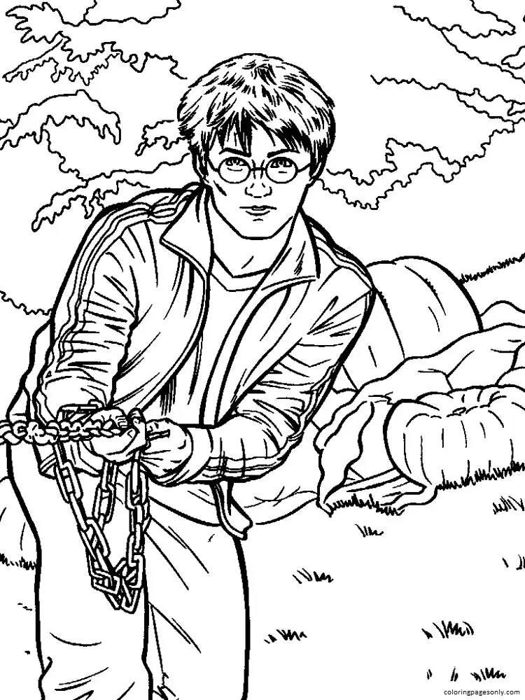 Harry Potter Para Colorear 88