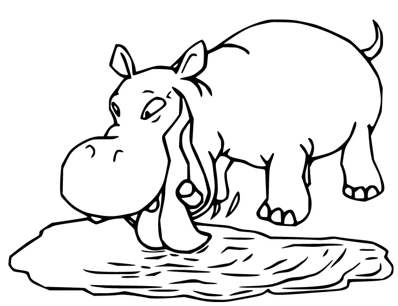 Hippo Ausmalbilder 56
