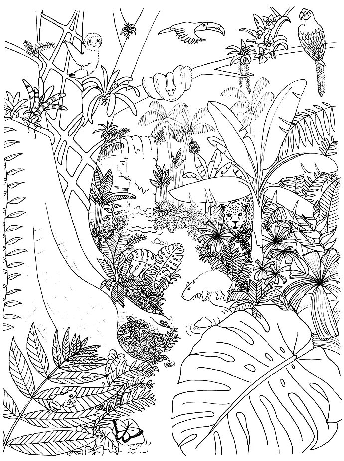 Desenhos de Selva Para Colorir