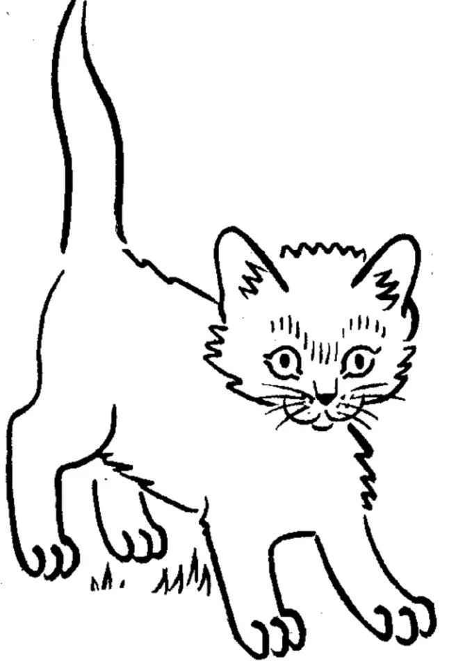 Kittens Coloring Pages 21