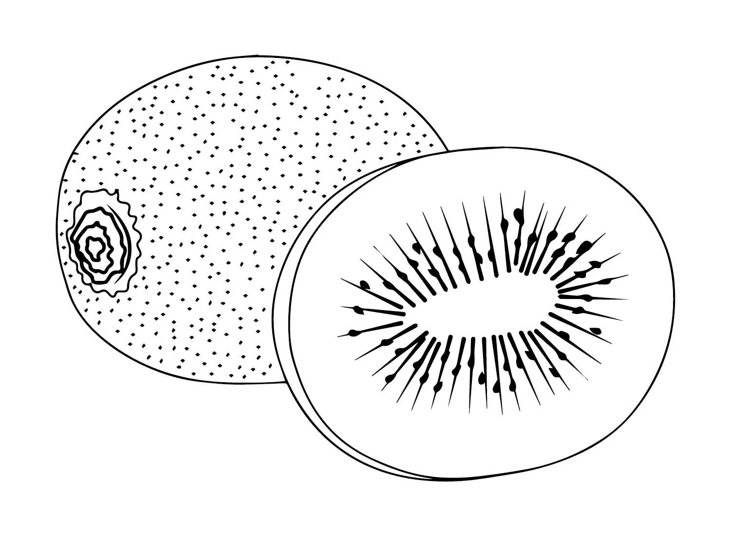 Kiwi Fruit Coloring Pages 21