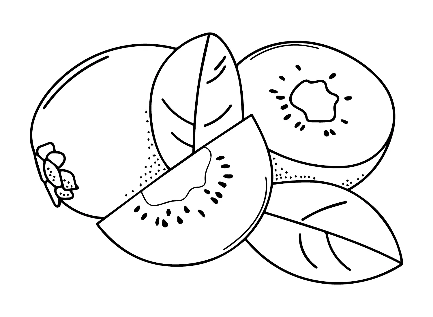 Kiwi Fruit Coloring Pages 22