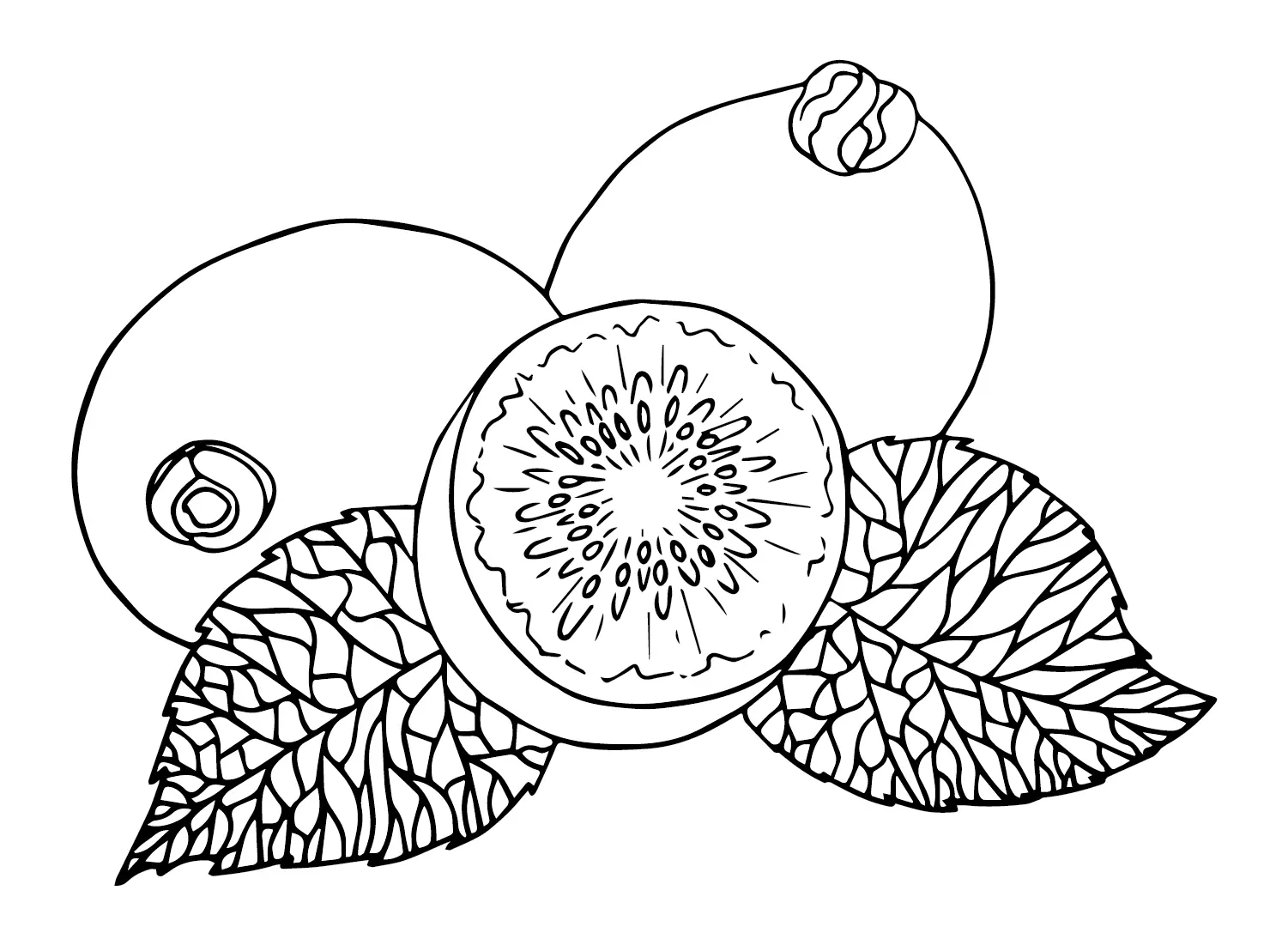 Kiwi Fruit Coloring Pages 23