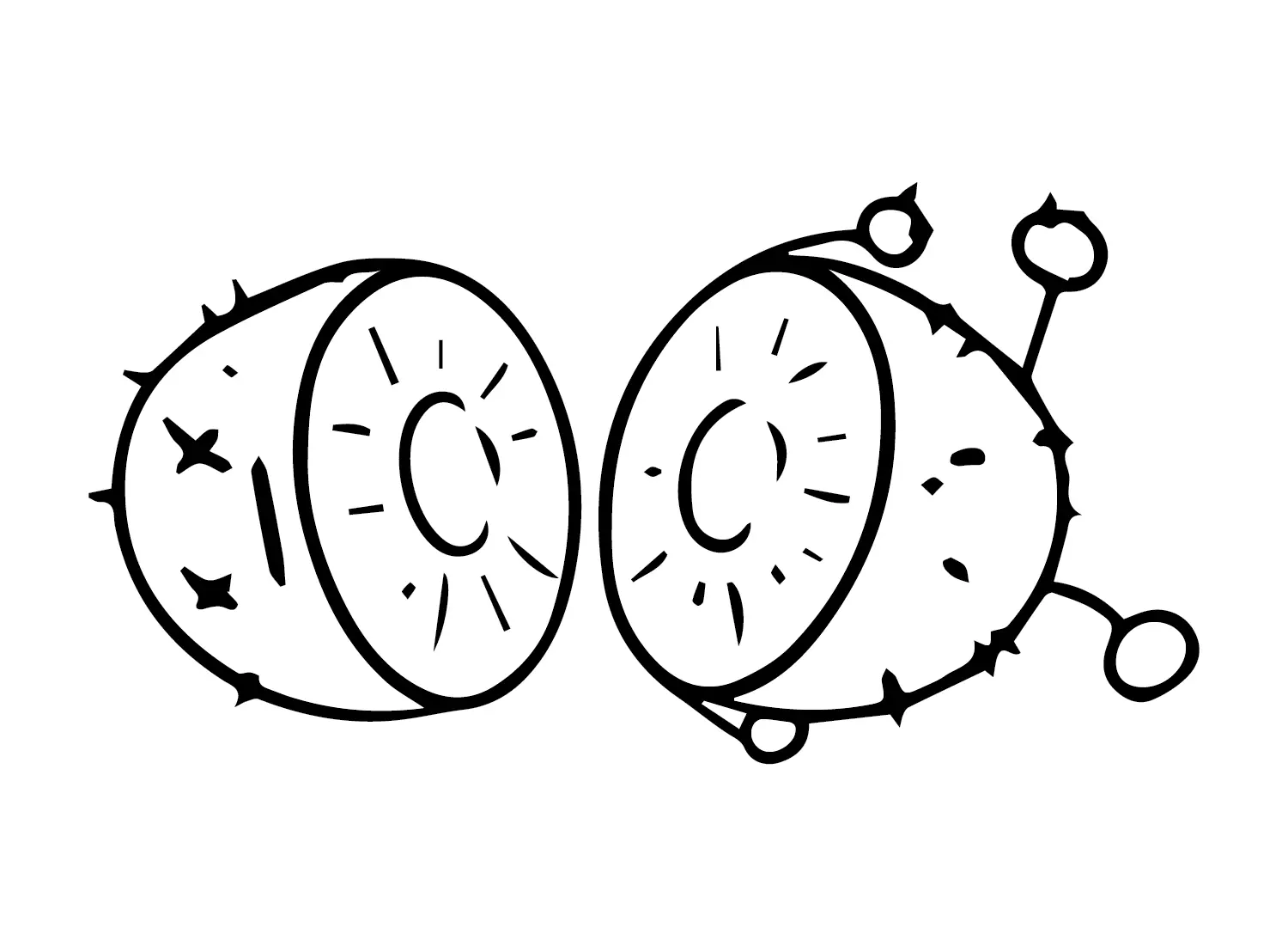 Kiwi Fruit Coloring Pages 24