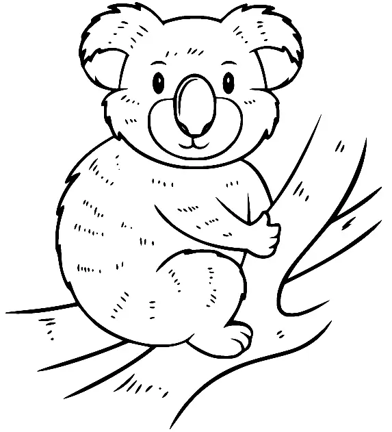 Koala Coloring Pages