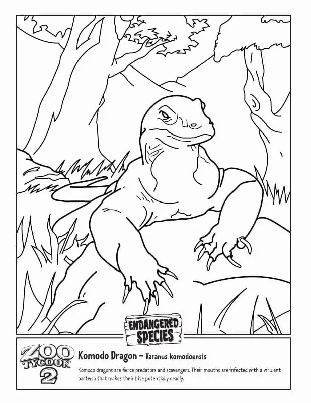 Komodo Dragon Coloring Pages 6