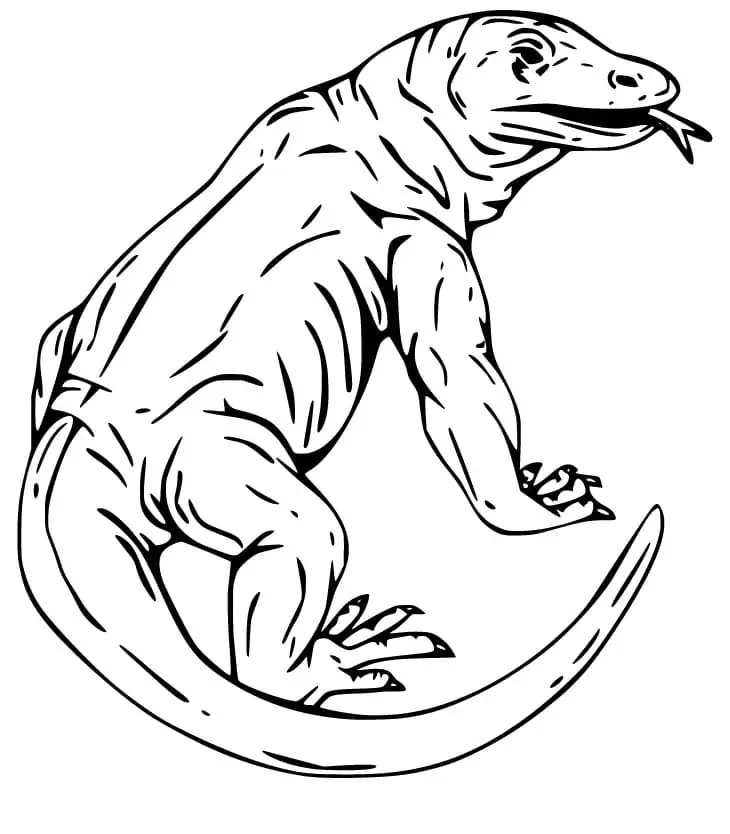 Komodo Dragon Coloring Pages 9