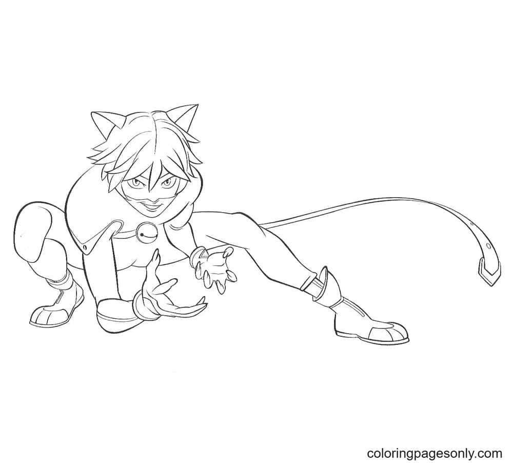 Marienkäfer und Cat Noir Ausmalbilder 78