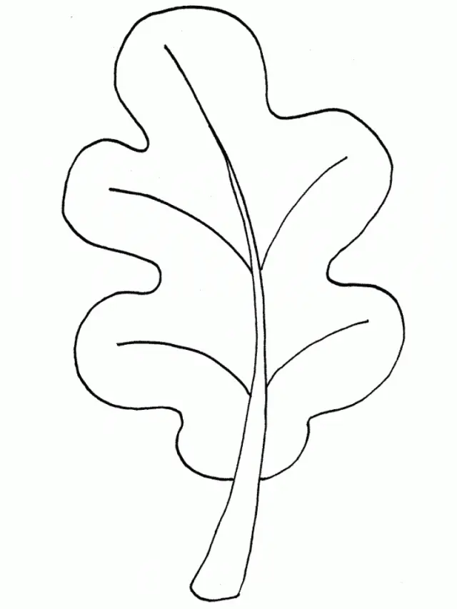 Leaf Coloring Pages 21