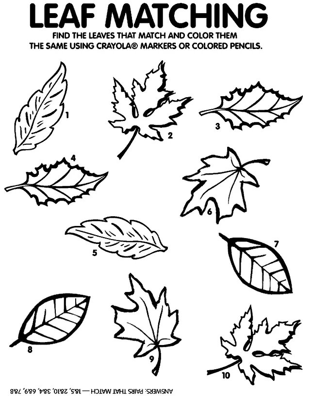 Leaf Coloring Pages 29