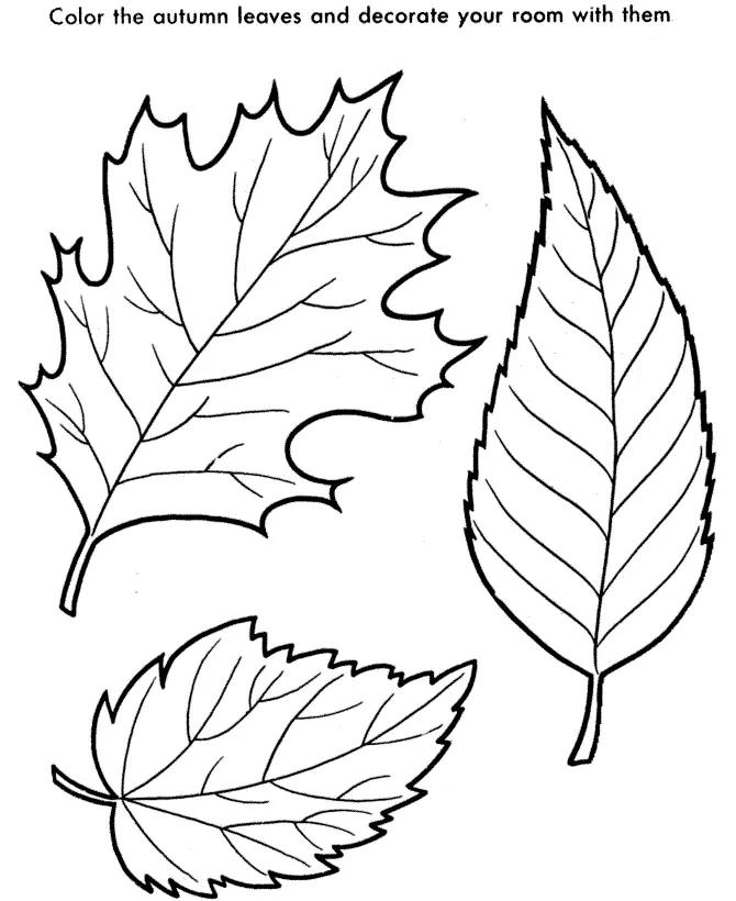 Leaf Coloring Pages 3