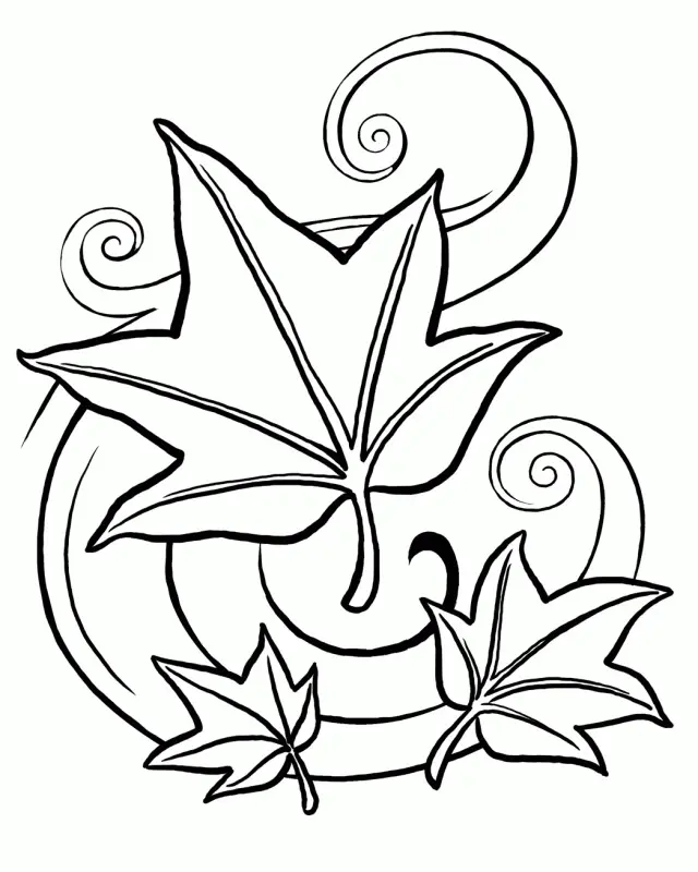 Leaf Coloring Pages 32