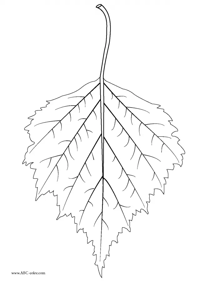 Leaf Coloring Pages 36