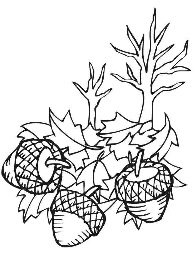 Leaf Coloring Pages 41
