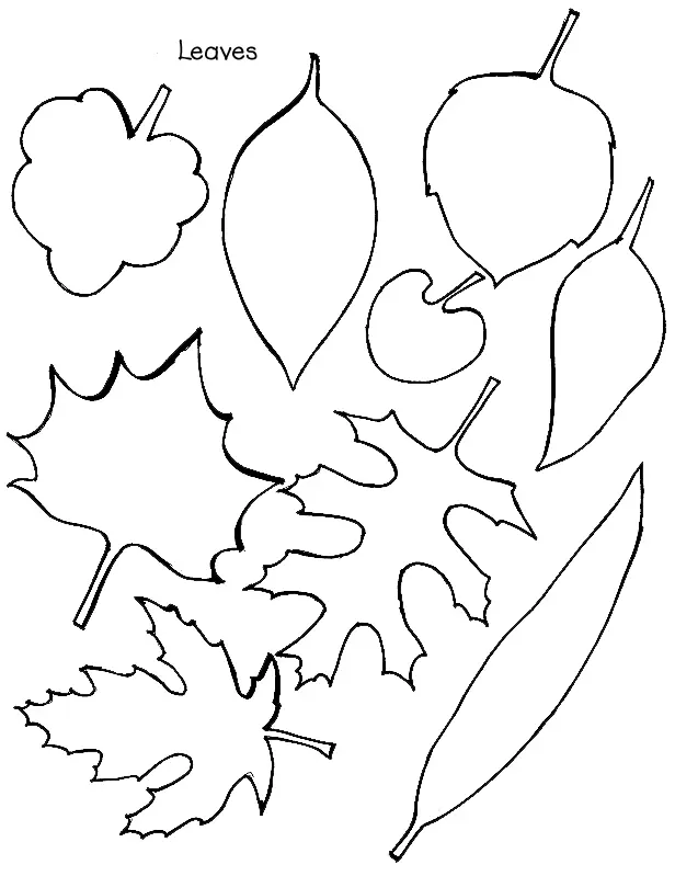 Leaf Coloring Pages 7