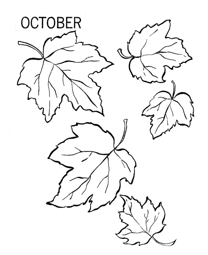 Leaf Coloring Pages 8