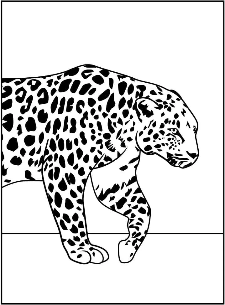 Leopard Coloring Pages 80