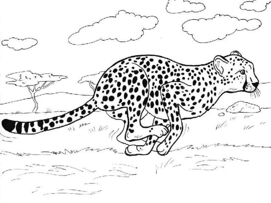 Leopard Coloring Pages 87