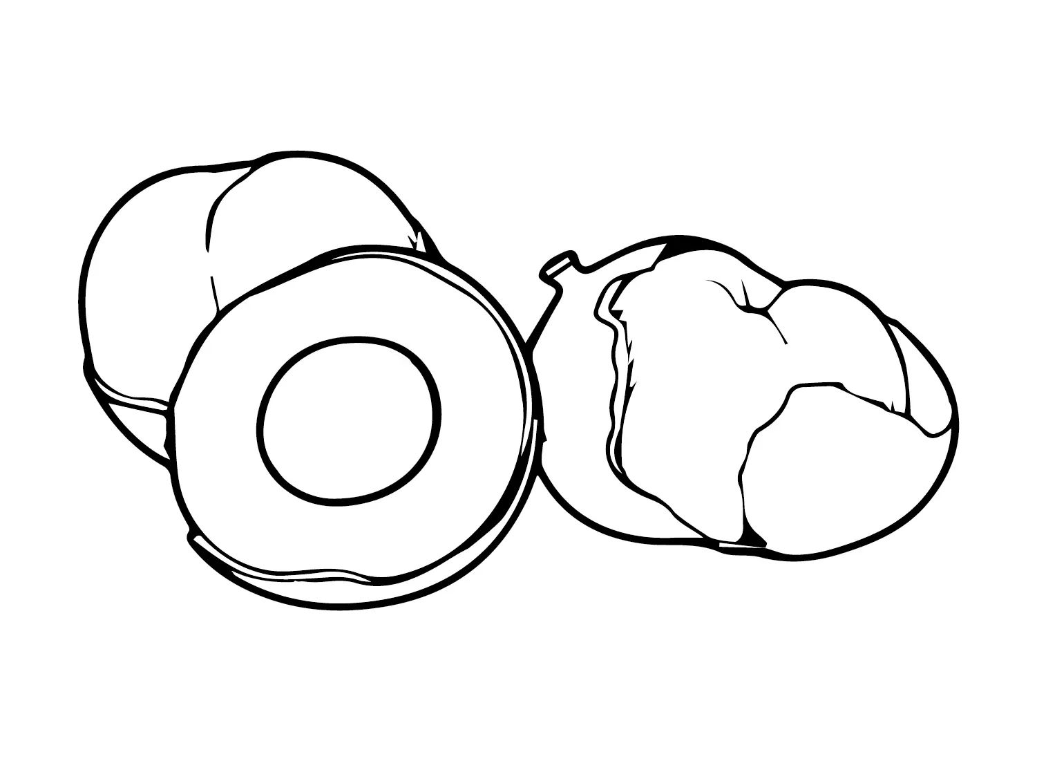 Longan Coloring Pages 9