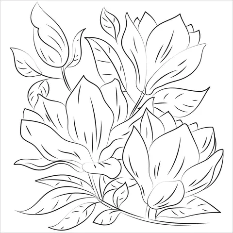 Magnolia Ausmalbilder 19