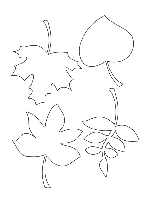 Maple Leaf Coloring Pages 13