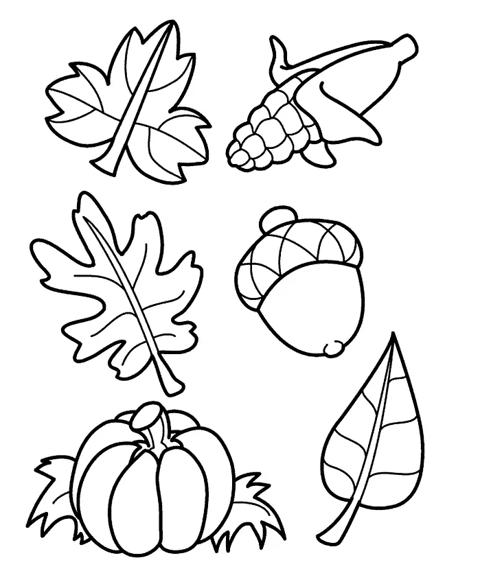Maple Leaf Coloring Pages 14