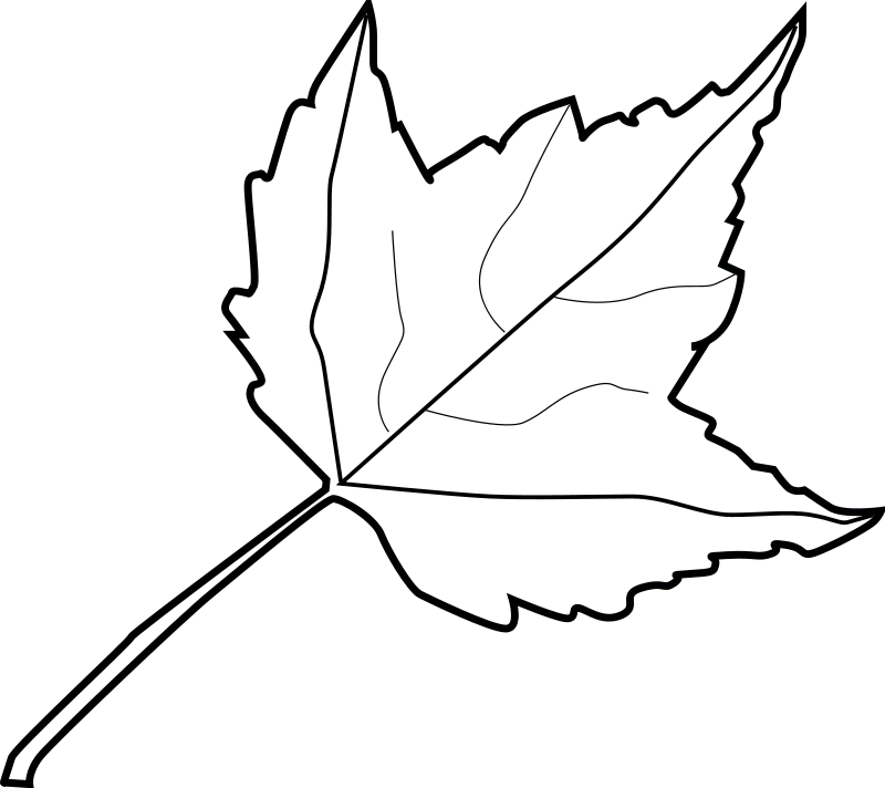 Maple Leaf Coloring Pages 6