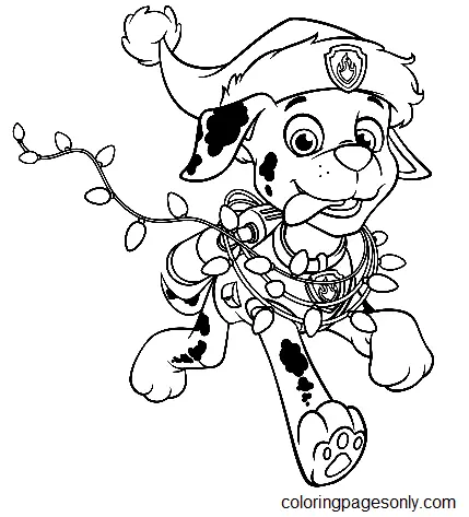 Marshall Paw Patrol Coloring Pages 11