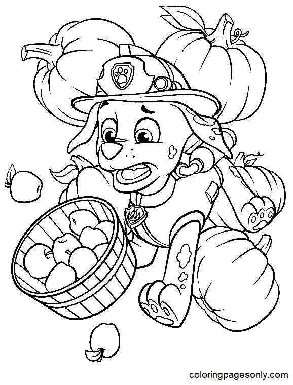 Marshall Paw Patrol Coloring Pages 19