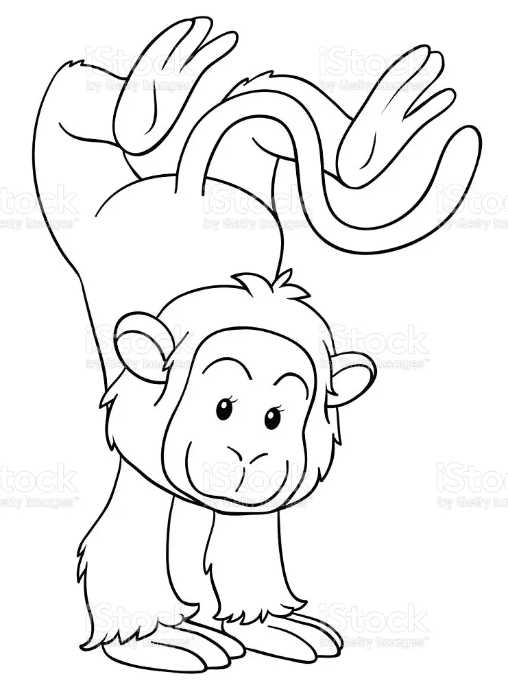 Monkey Coloring Pages 17