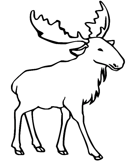 Moose Coloring Pages 20