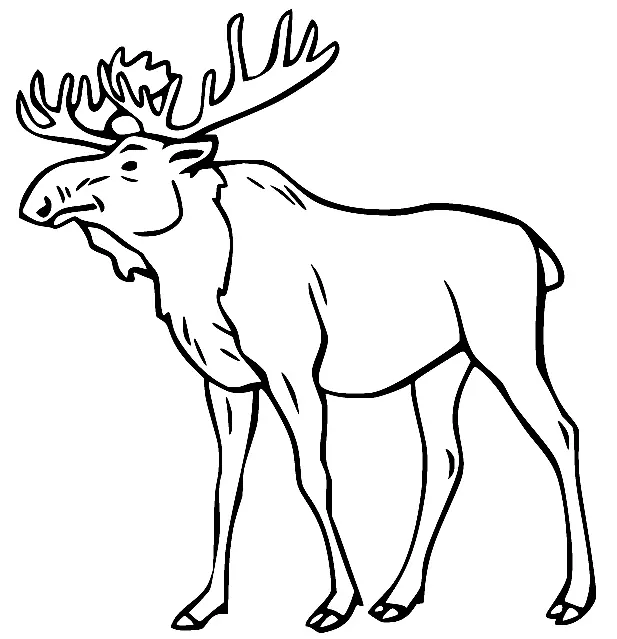 Moose Coloring Pages 23