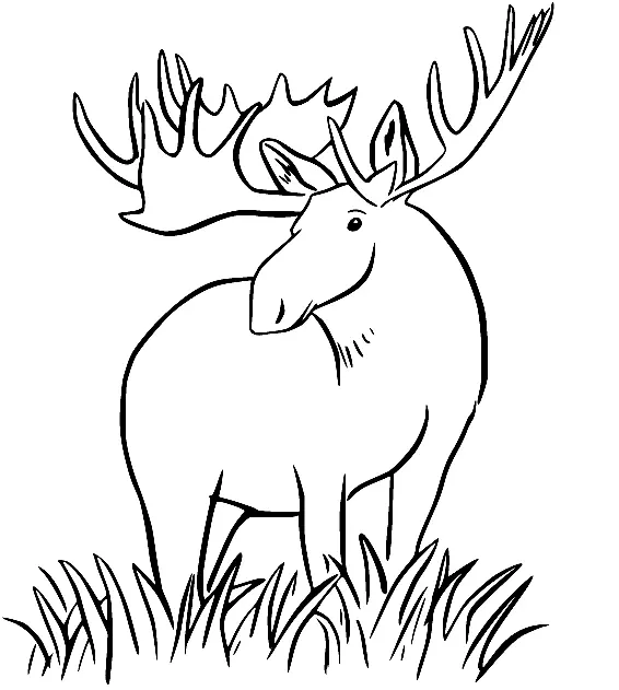 Moose Coloring Pages 40