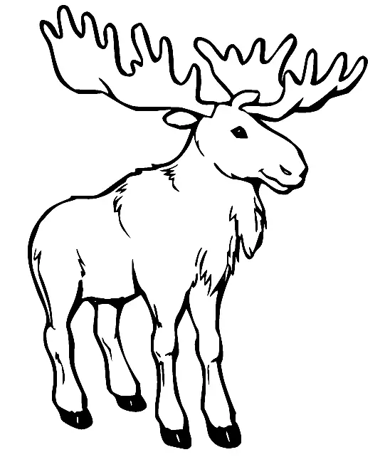 Moose Coloring Pages 48