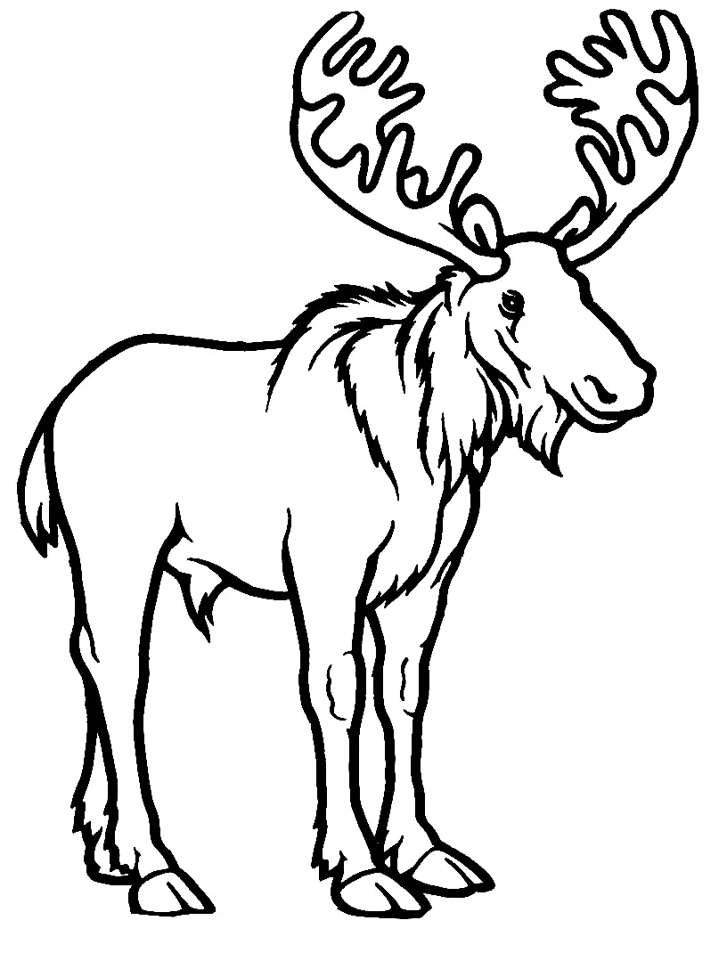 Moose Coloring Pages 5