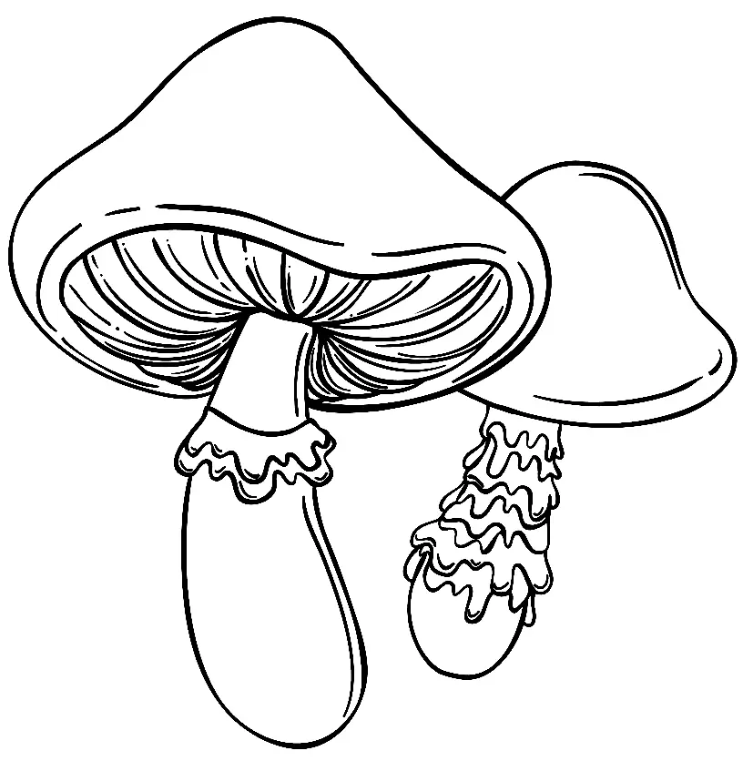 Desenhos de Cogumelos Para Colorir 107