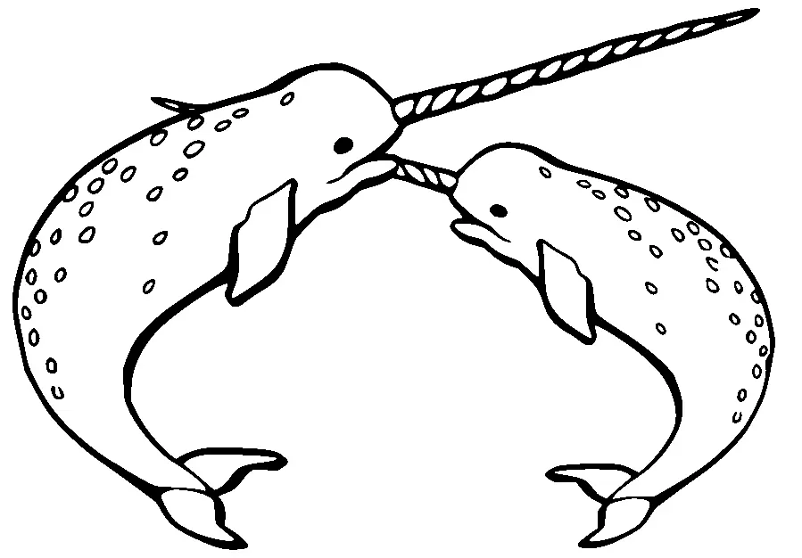 Narwhal Coloring Pages 49