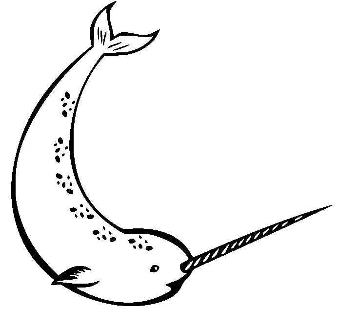 Narwhal Coloring Pages 53