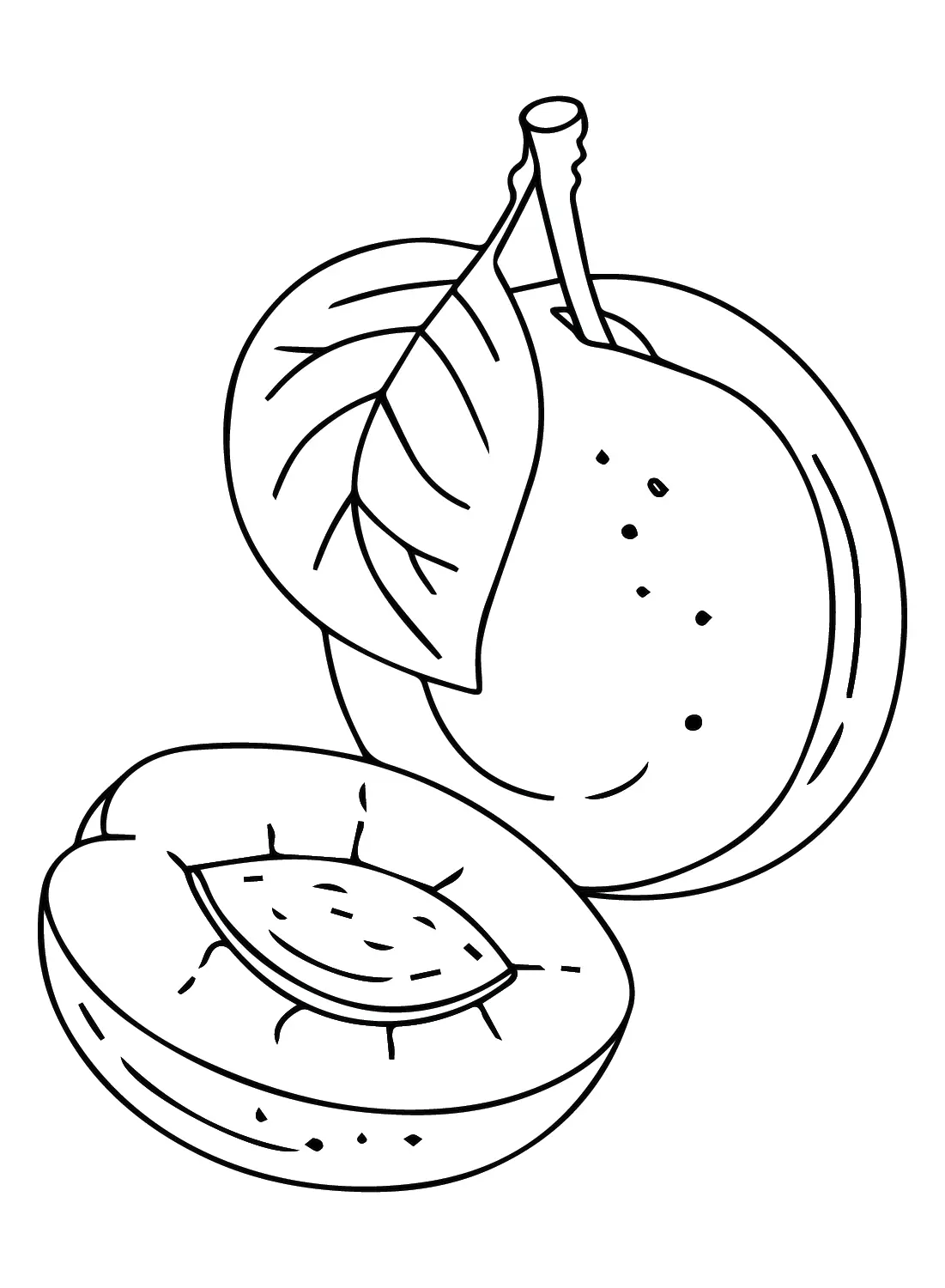 Nectarine Coloring Pages 1