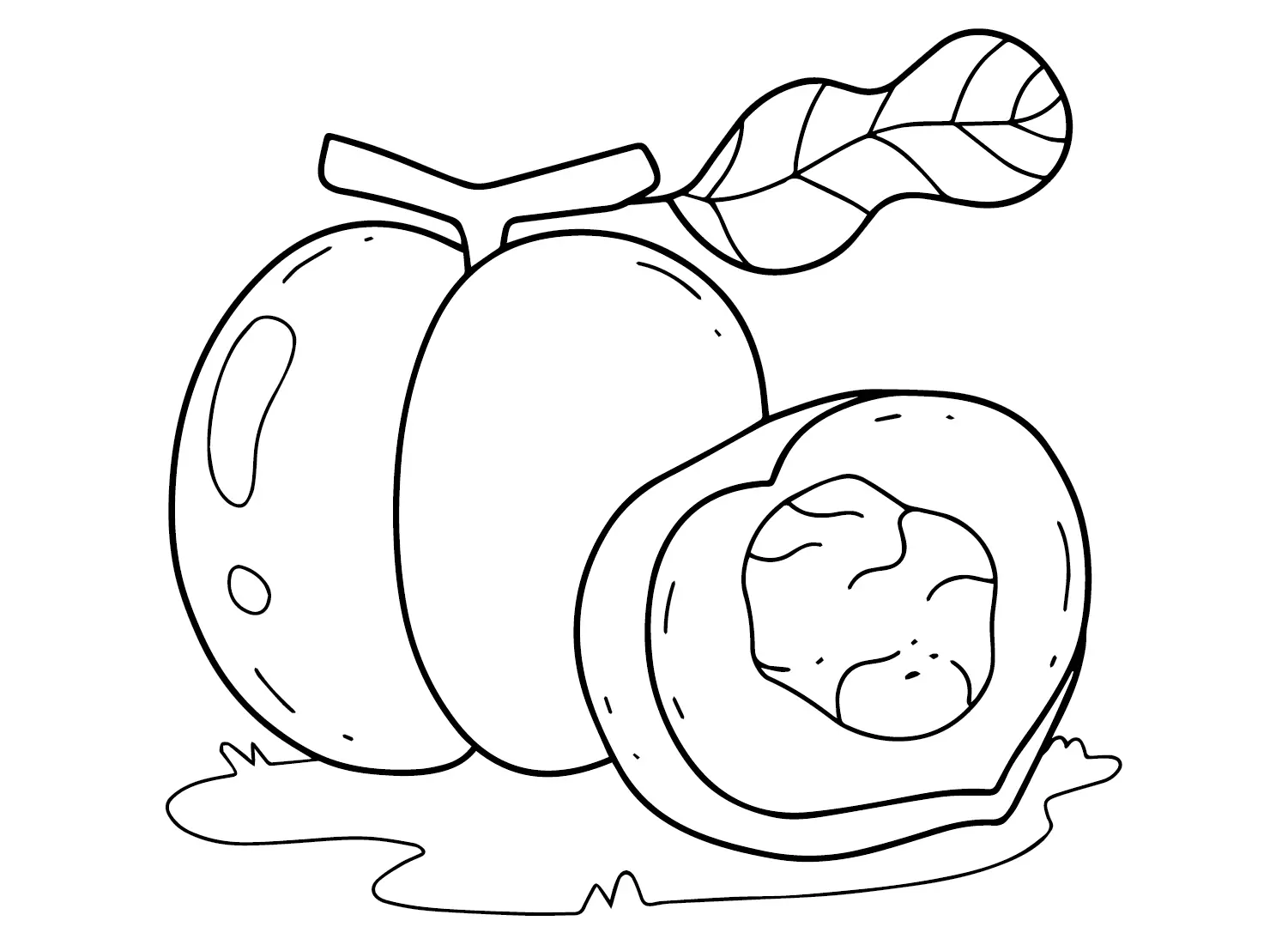 Nectarine Coloring Pages 22