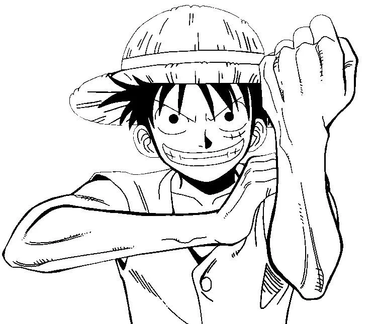 Desenhos de One Piece Para Colorir 4