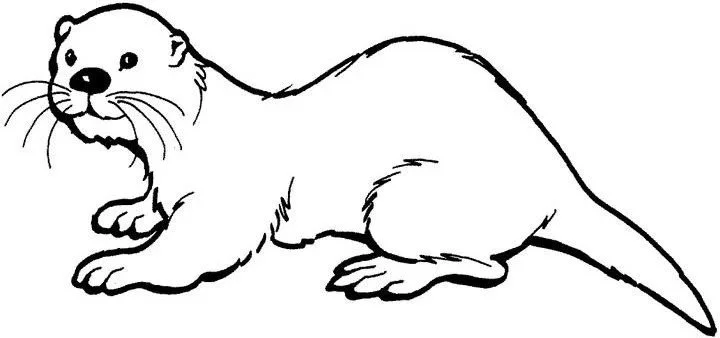 Otter Coloring Pages 59