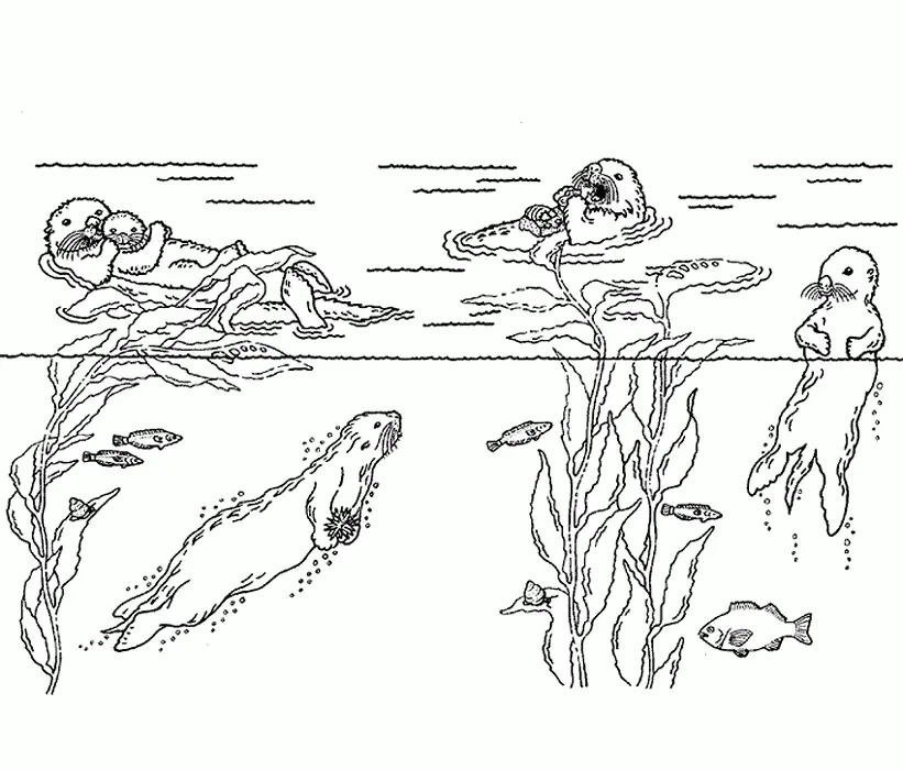 Otter Coloring Pages 82