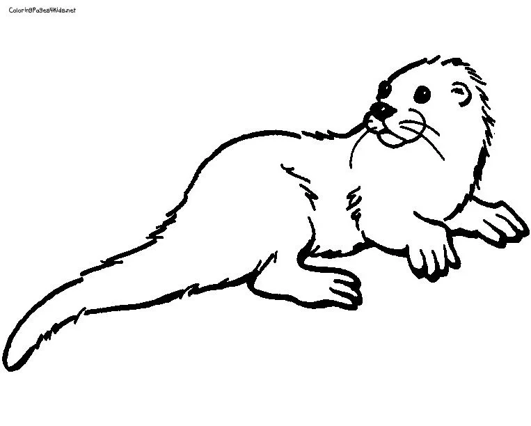 Otter Ausmalbilder 95