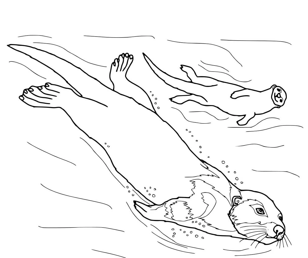 Otter Coloring Pages 99